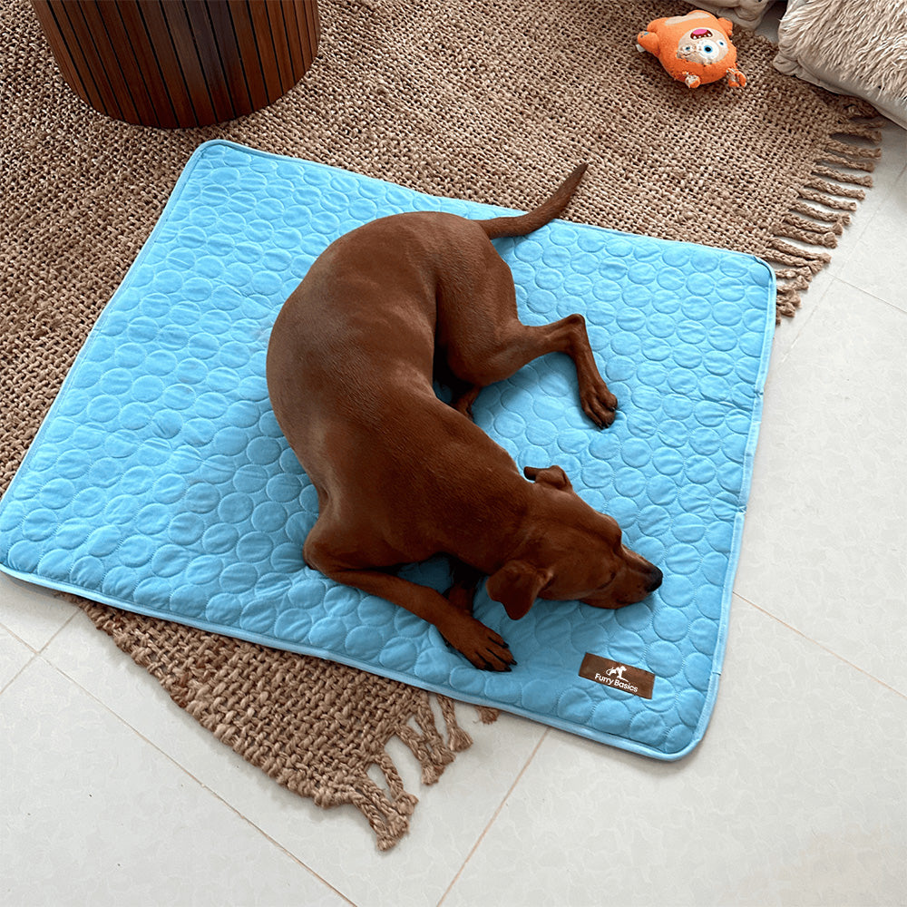 FurryBasics® CoolingMat