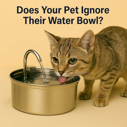 FurryBasics® Fountain