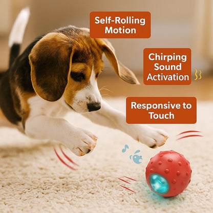 FurryBasics® Smart Toy Ball