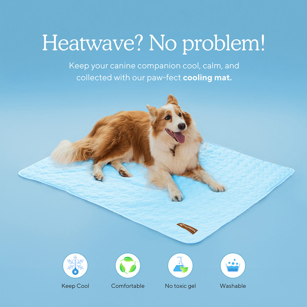 FurryBasics® CoolingMat