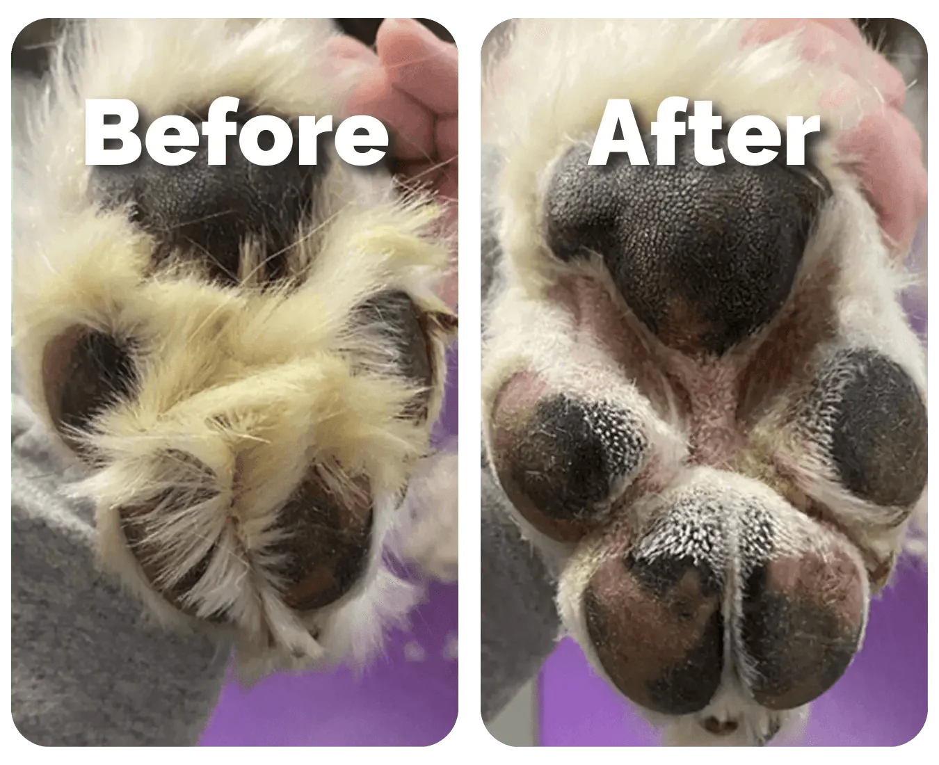 FurryBasics® Pet Hair Trimmer