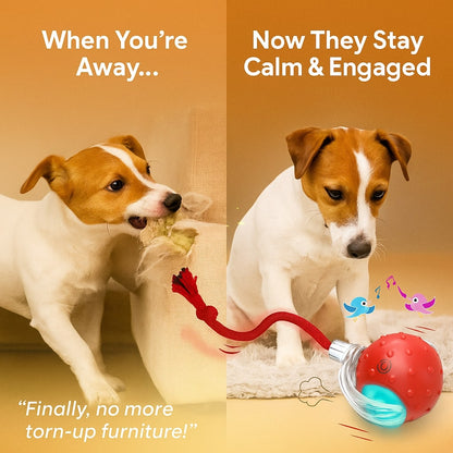 FurryBasics® Smart Toy Ball