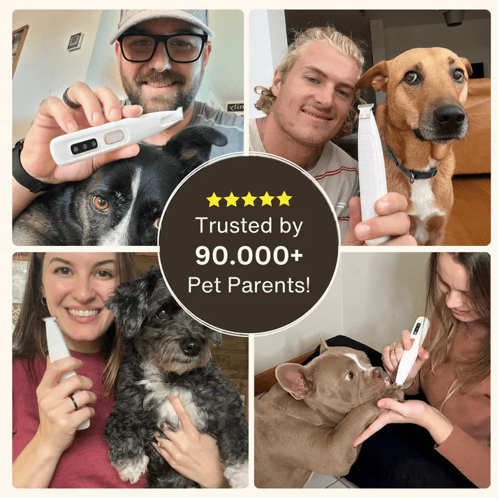 FurryBasics® Pet Hair Trimmer