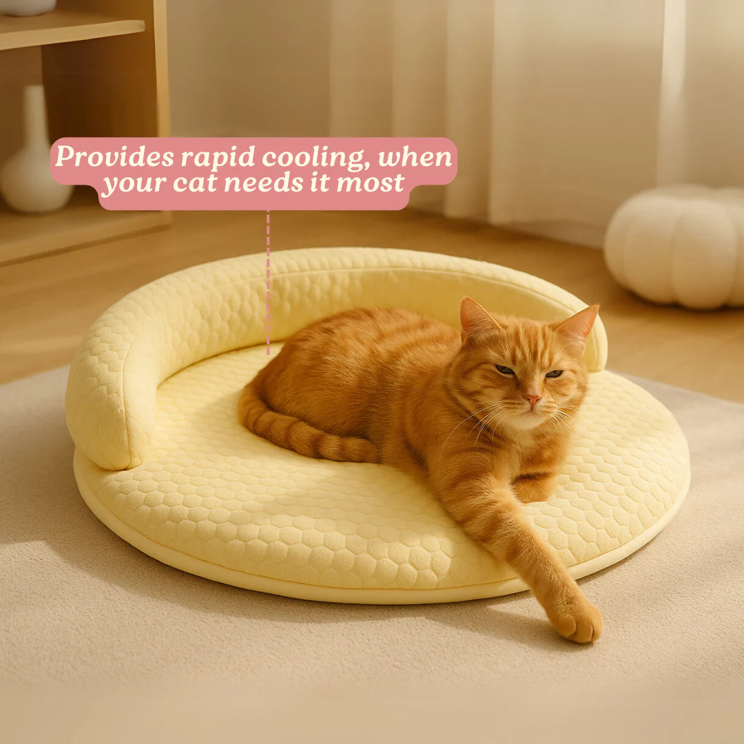 FurryBasics® Breeze Bed