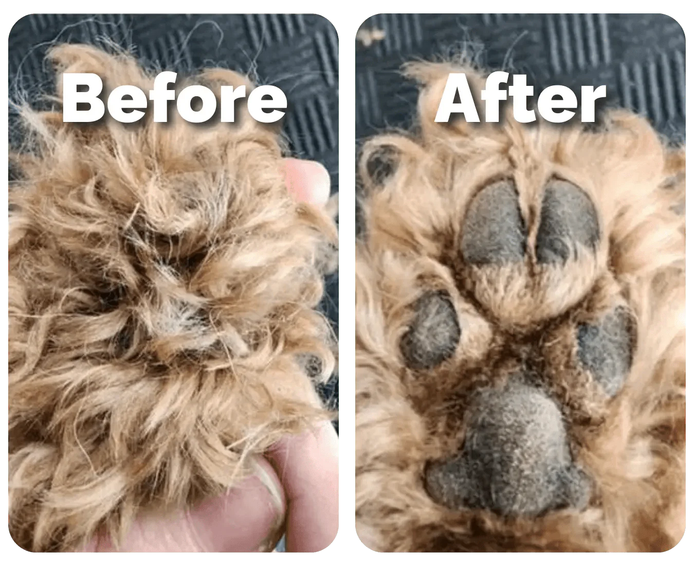 FurryBasics® Pet Hair Trimmer