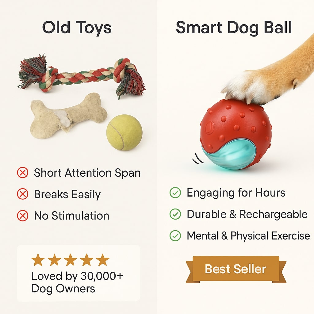 FurryBasics® Smart Toy Ball