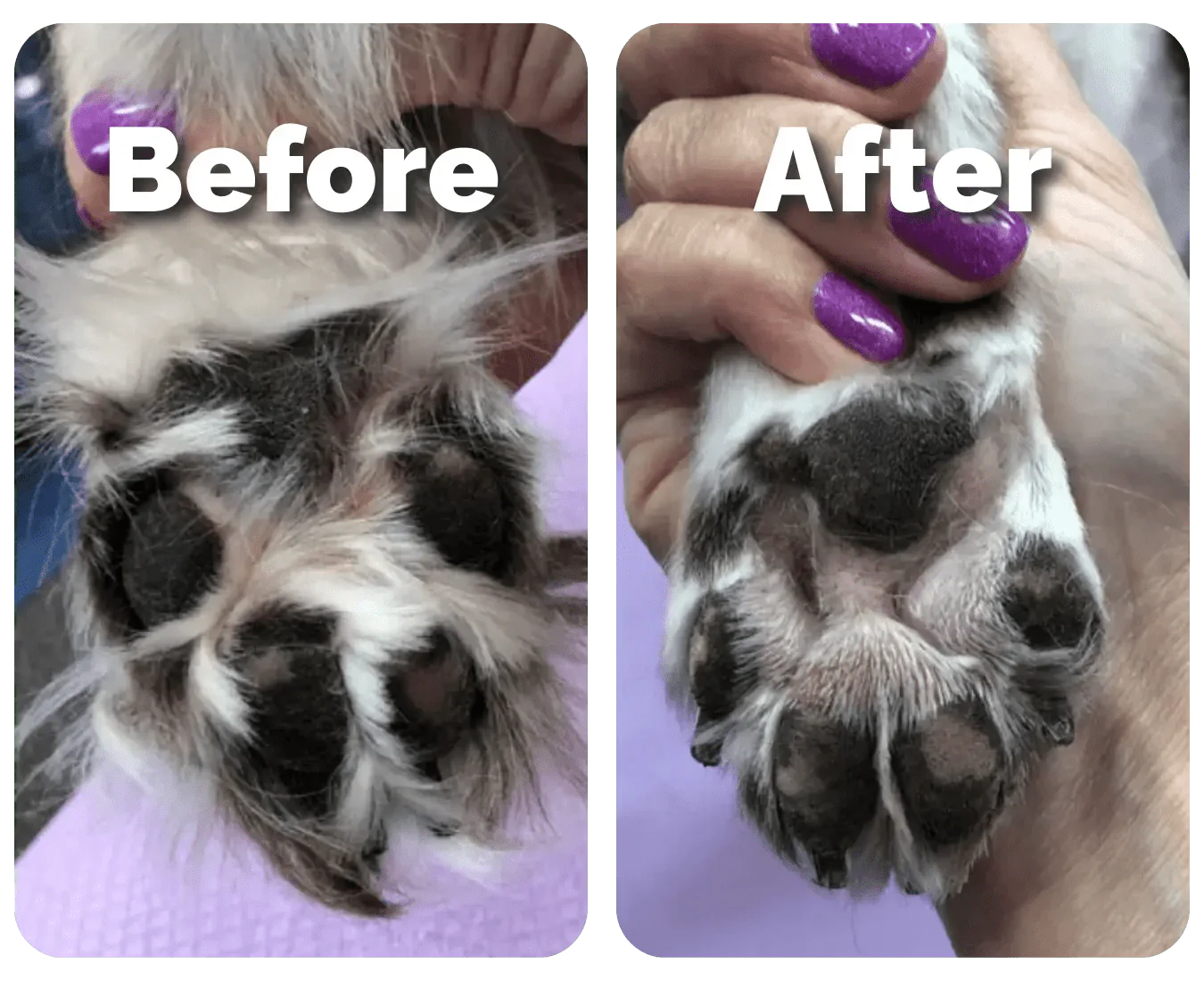 FurryBasics® Pet Hair Trimmer