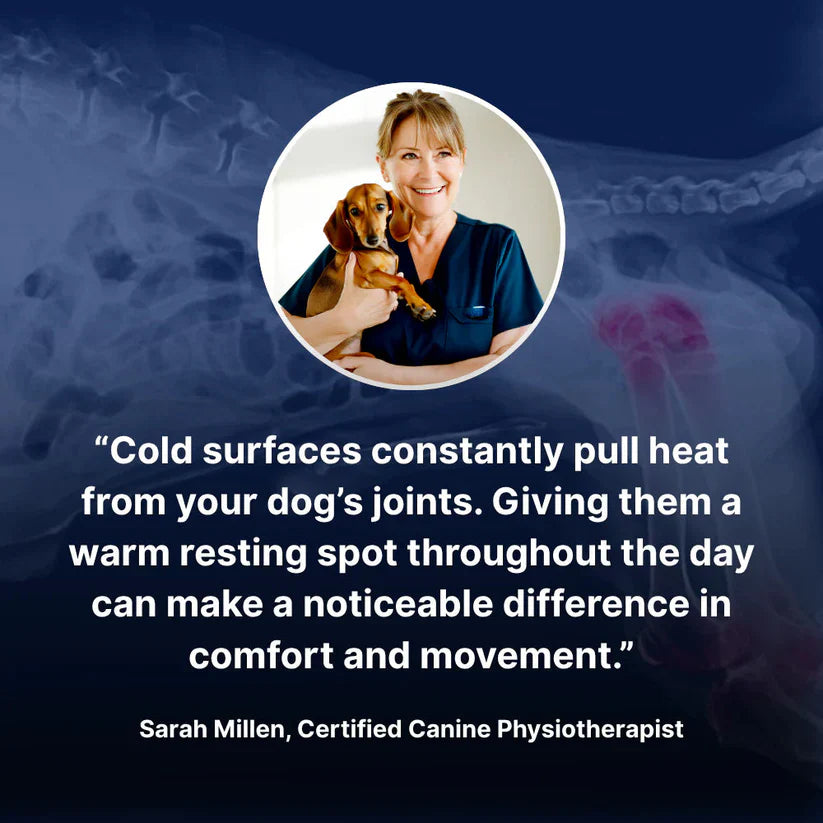 FurryBasics® Self-Warming Pet Mat