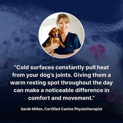 Self-Warming Pet Mat