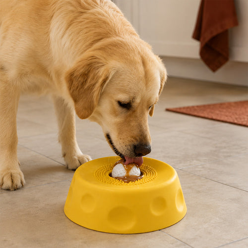 FurryBasics® Dog Slow Feeder