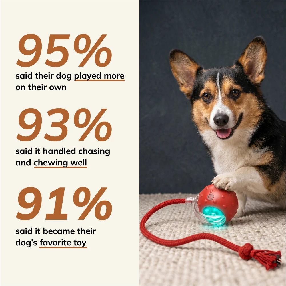 FurryBasics® Smart Toy Ball