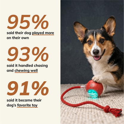 FurryBasics® Smart Toy Ball