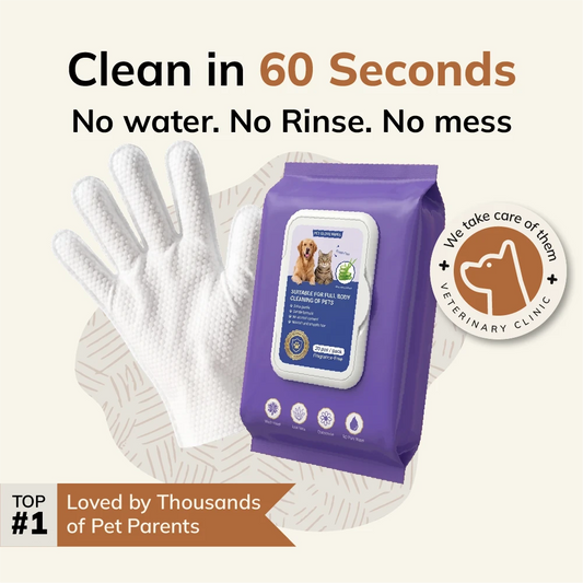 FurryBasics® Plant-Based Pet Bathing Glove Wipes