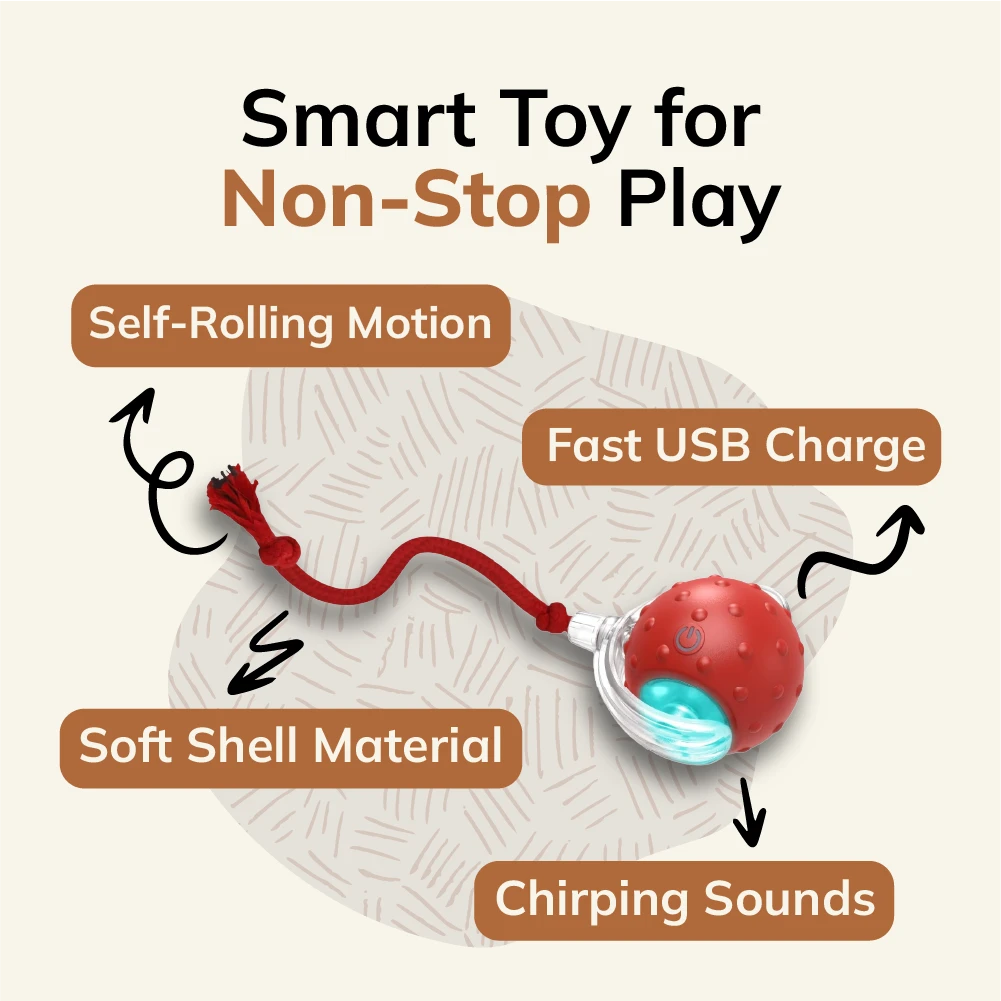 FurryBasics® Smart Toy Ball