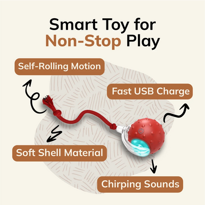 FurryBasics® Smart Toy Ball