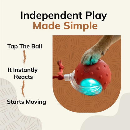 FurryBasics® Smart Toy Ball