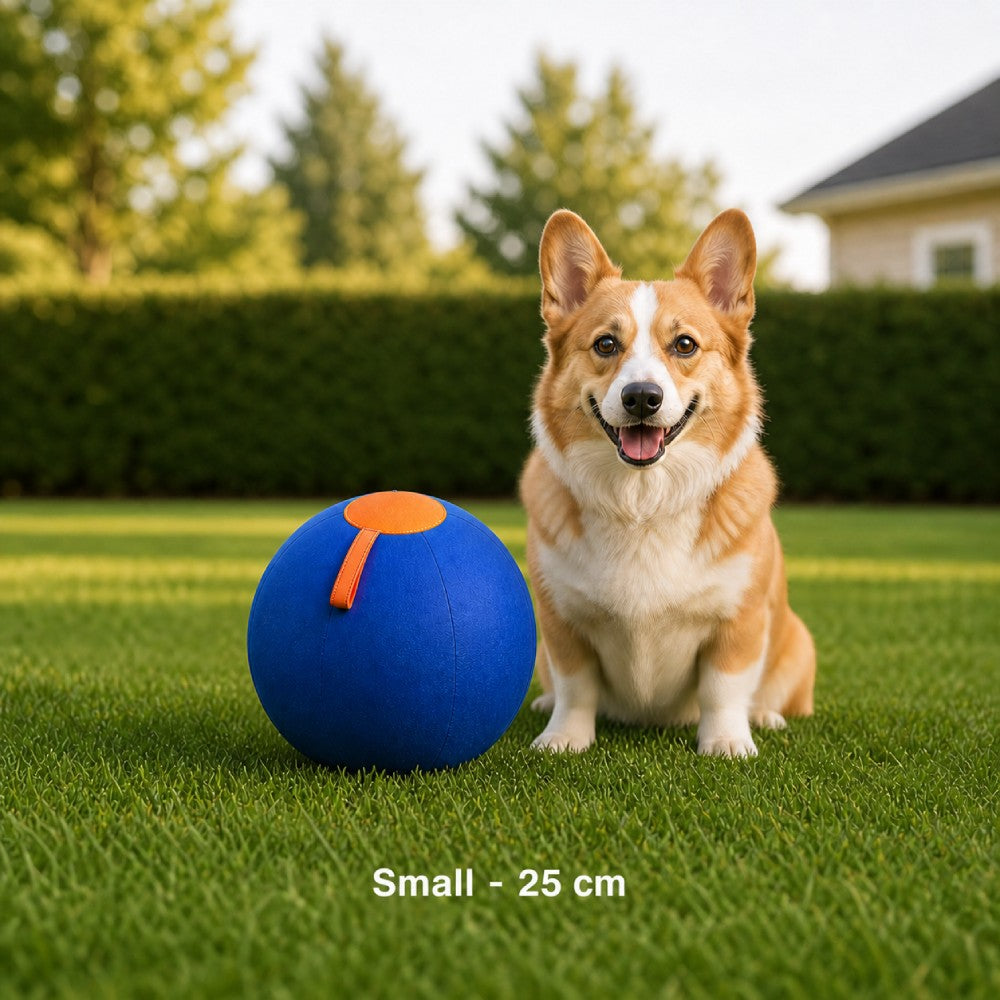 FurryBasics® Herding Ball