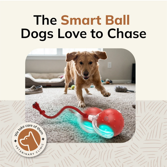 FurryBasics® Smart Toy Ball
