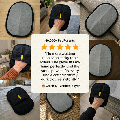 FurryBasics® Magic Brush