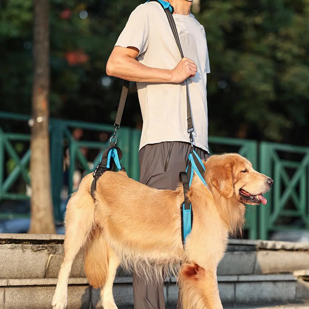 FurryBasics® Mobility Harness