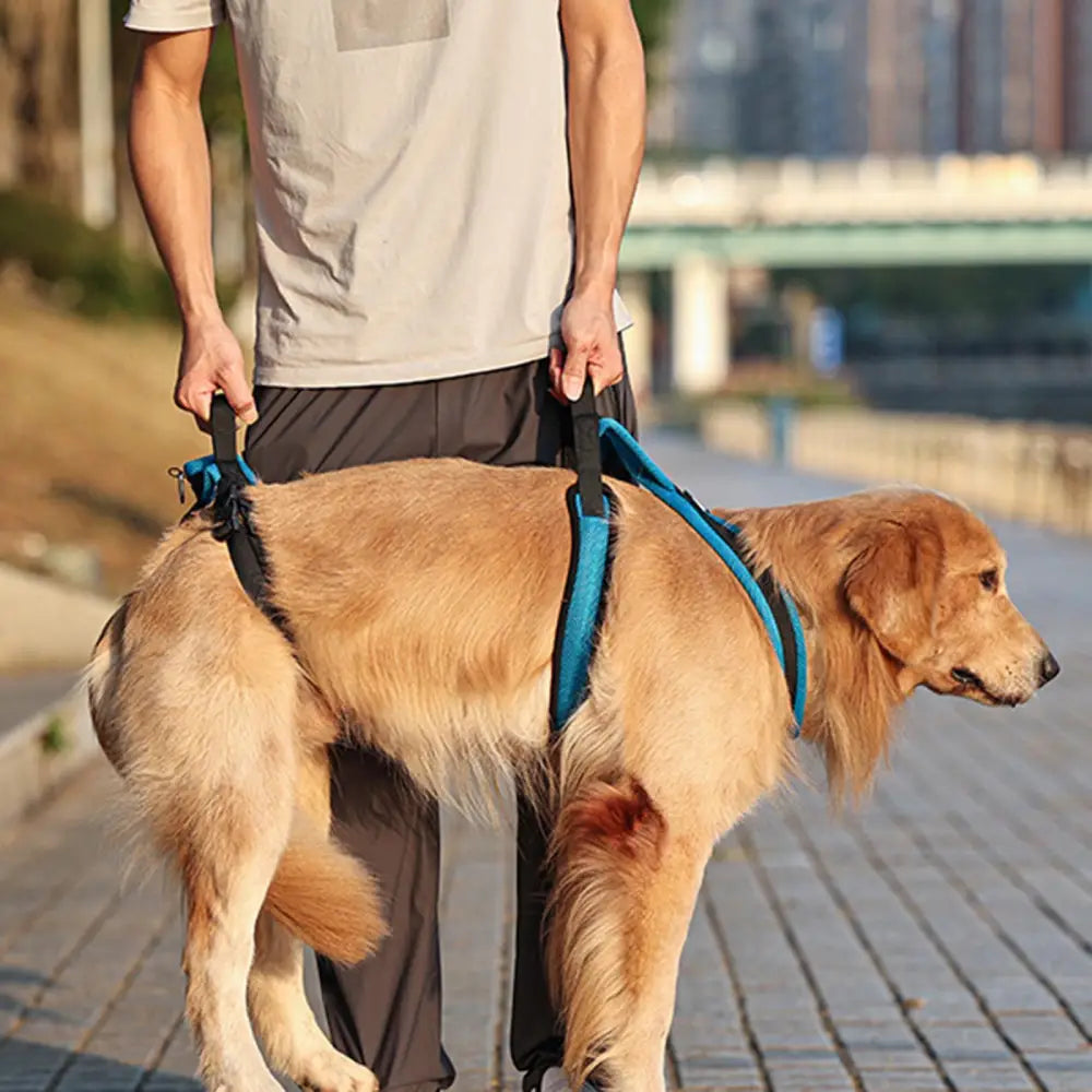 FurryBasics® Mobility Harness