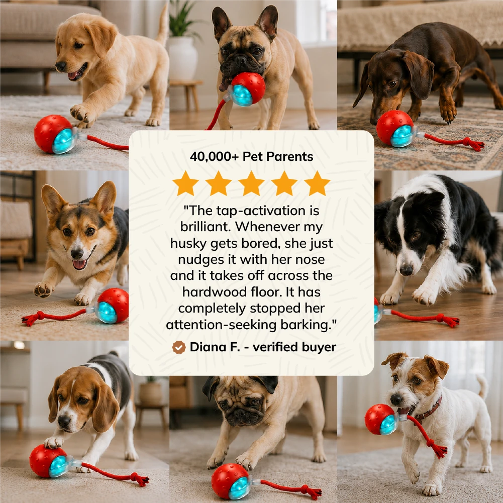 FurryBasics® Smart Toy Ball